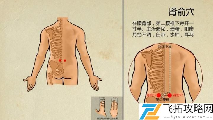 男人想要补肾壮阳吃什么比较好