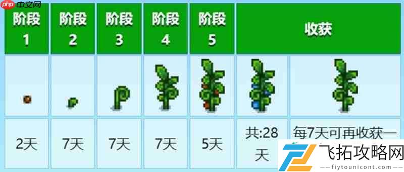 古代种子获取方法详解