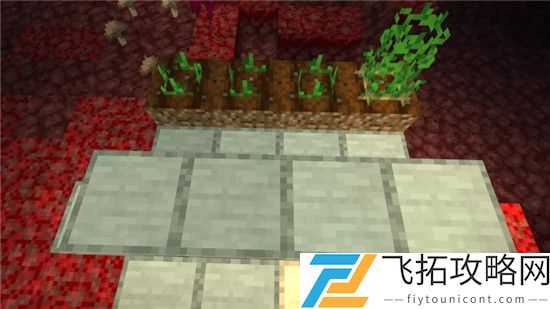 我的世界手游下界种植方法图文一览
