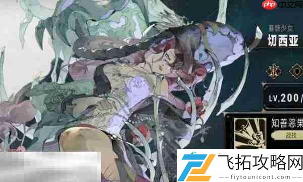 银与绯切西亚角色介绍