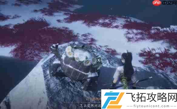 燕云十六声明亮的星任务超详细通关指南
