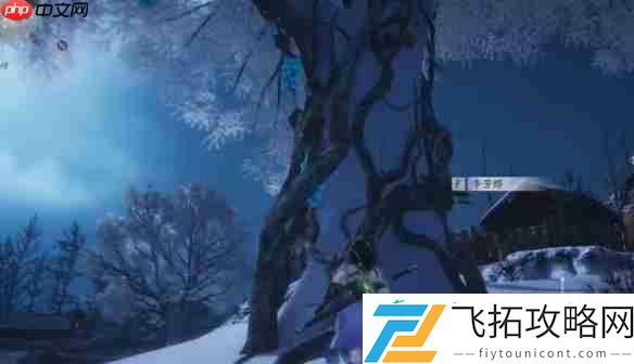 燕云十六声明亮的星任务超详细通关指南