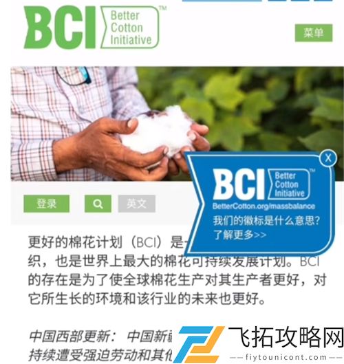 王者荣耀瑶新皮肤巴宝莉下架原因介绍
