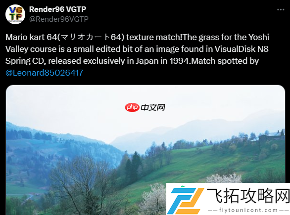 老外找到马里奥赛车64难辨草地纹理原型
