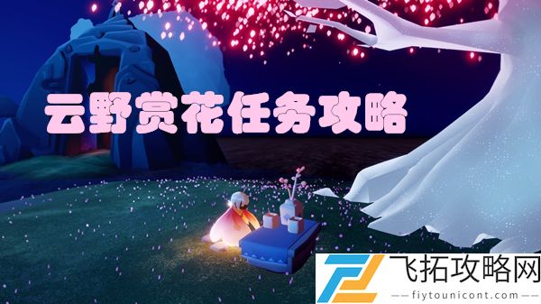 光遇云野赏花位置在哪