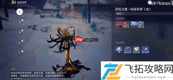 崩坏