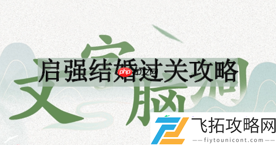 启强结婚过关攻略