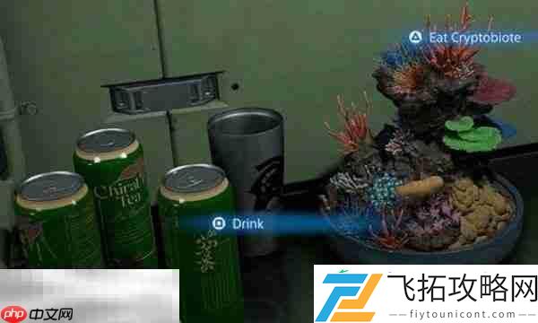 治疗方式介绍
