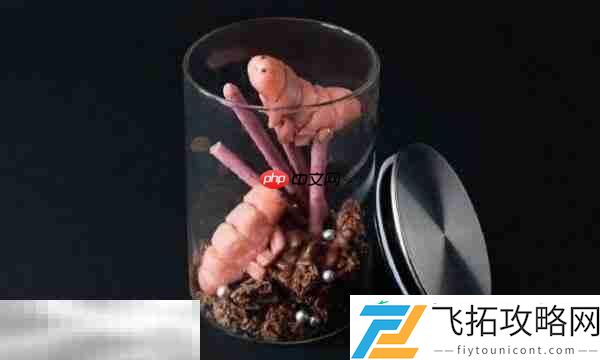 治疗方式介绍