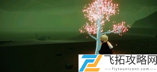 光遇花憩节树苗位置大全