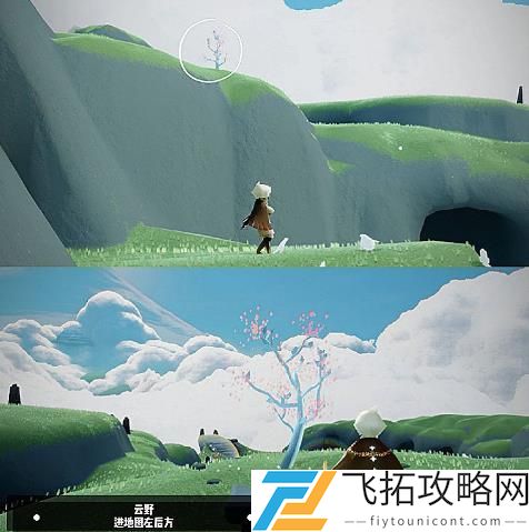 光遇花憩节小树苗在哪