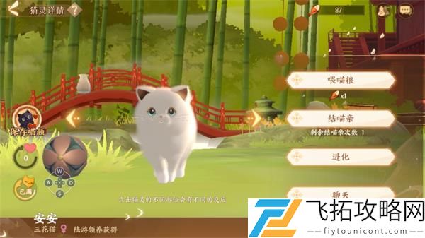 忘川风华录猫灵资质全面分析