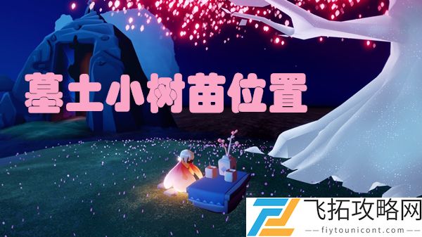 光遇墓土小树苗位置在哪