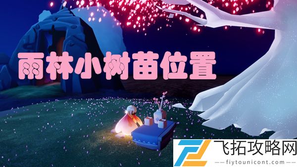 光遇雨林小树苗位置在哪