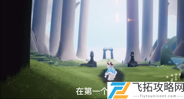 光遇雨林小树苗位置在哪