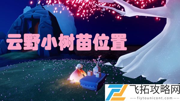 光遇云野小树苗位置在哪