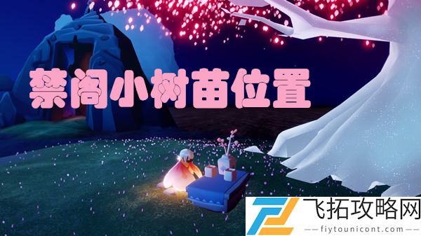 光遇禁阁小树苗位置在哪