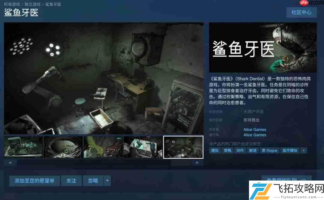 冒死给鲨鱼看牙