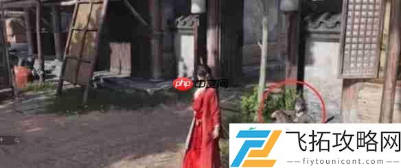 燕云十六声辞生无泪任务怎么做