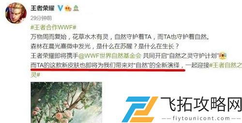 王者荣耀自然之灵WWF新皮肤是谁的