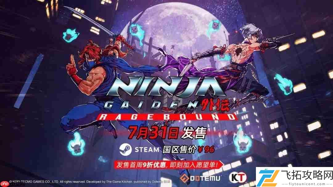 忍者外传