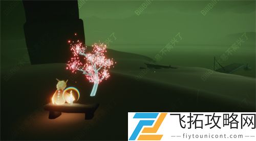光遇樱花树位置在哪