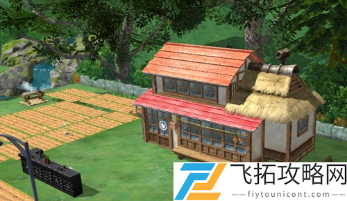 小森生活怎么领养第二只猫