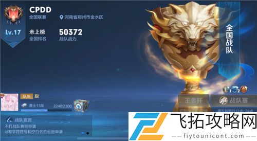王者荣耀全国战队为什么不显示称号