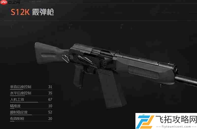 S12K霰弹枪详细评测