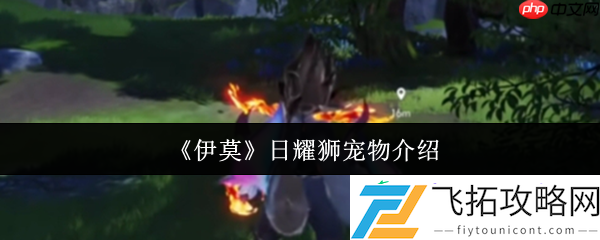 伊莫日耀狮宠物全解析