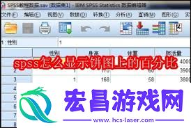 spss怎样让饼图显示出百分比