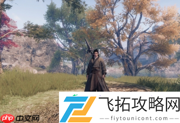 下一站江湖2盗圣珍宝奇遇指南