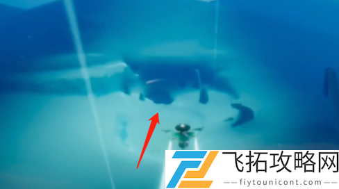 光遇梦想季红色光芒在哪