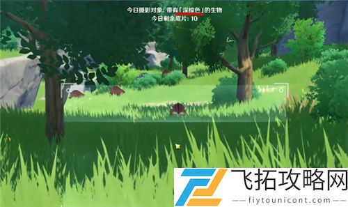 原神奇特的留影机怎么用