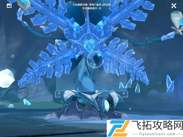 原神福至五彩蓝色生物在哪拍照