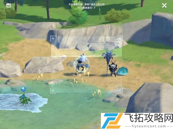 原神福至五彩蓝色生物在哪拍照
