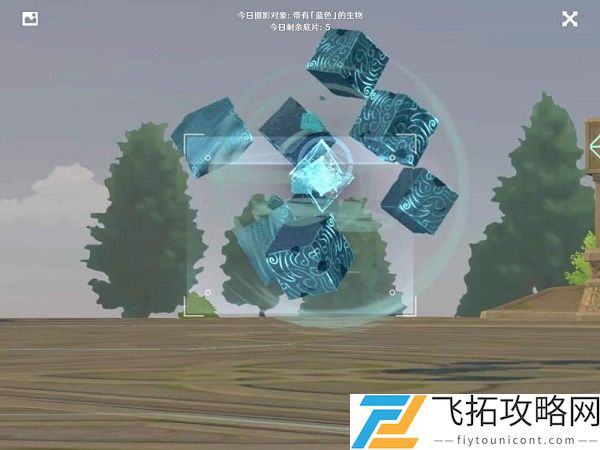 原神福至五彩蓝色生物在哪拍照