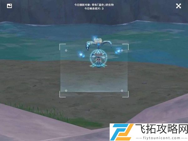 原神福至五彩蓝色生物在哪拍照