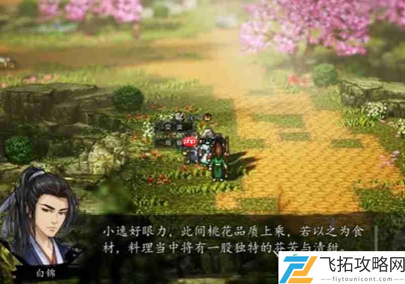 白锦任务流程详细攻略