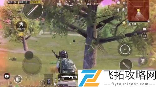 和平精英四圣降临海岛怎么开箱子