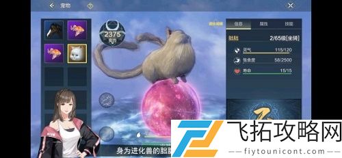 妄想山海红貘在哪抓