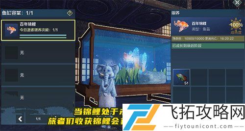 妄想山海锦鲤兑换券获得方法