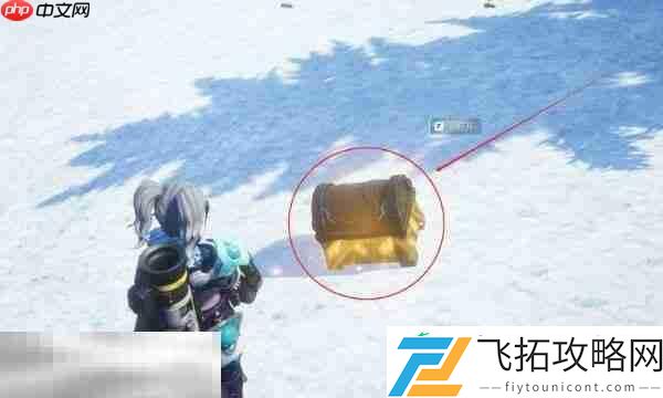 帕鲁保护团体的高塔入口攻略