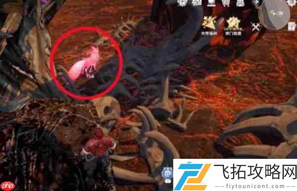 斗罗大陆猎魂世界妖狐玩法介绍