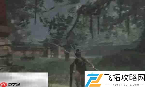 璀璨红羽材料用途分享