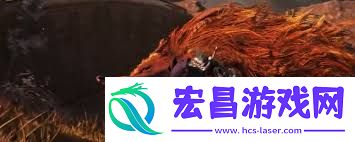 艾尔登法环黑夜君临新手适合选哪个职业