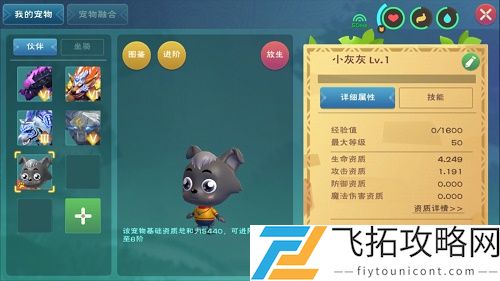 创造与魔法小灰灰饲料怎么做