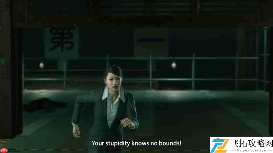 如龙