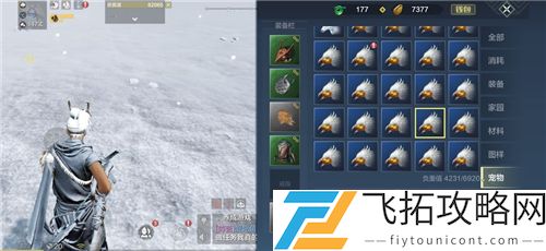 妄想山海坐骑排行榜最新一览