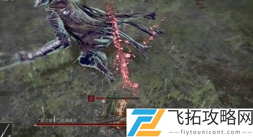 艾尔登法环战狼骨灰获得方法